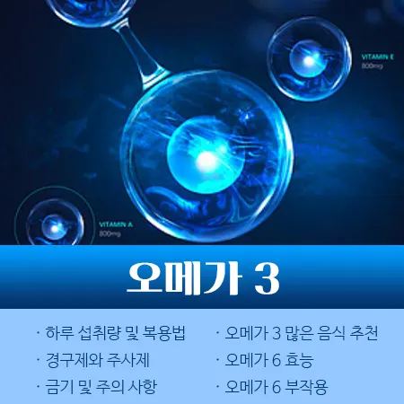 오메가 3 하루 섭취량