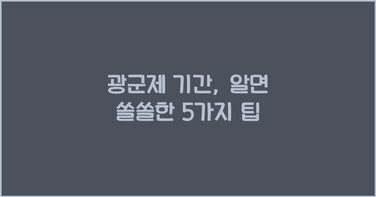 광군제 기간