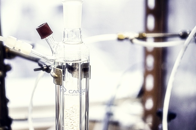 에이비엘바이오 주가분석