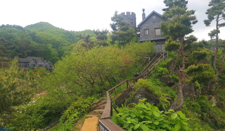 옥천 수생식물학습원