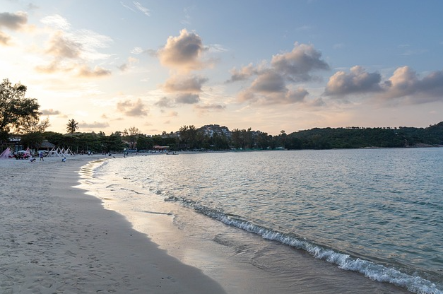 코사무이 관련사진