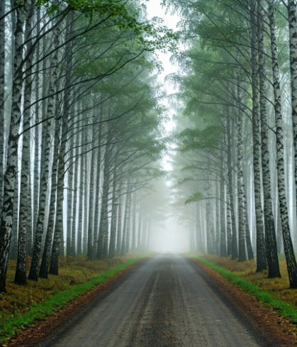 추석 추천 국내 드라이브 코스 BEST 5