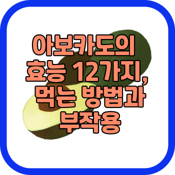 아보카도의 효능 12가지, 먹는 방법과 부작용