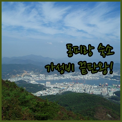 통영 여행 숙소 고민 해결 동피랑 근..