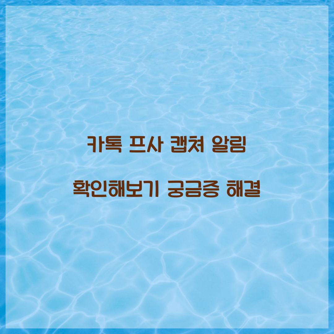 카톡 프사 캡쳐 알림