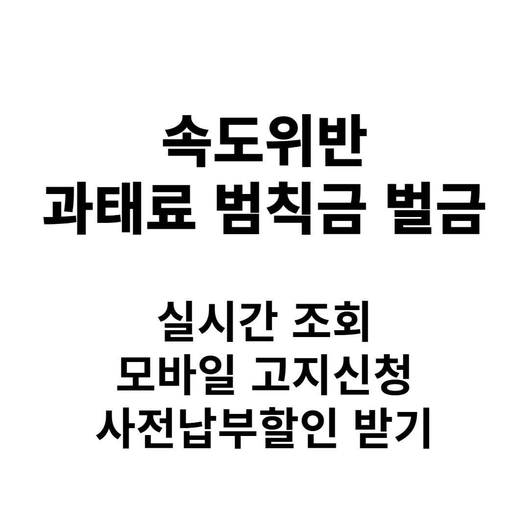 속도위반과태료