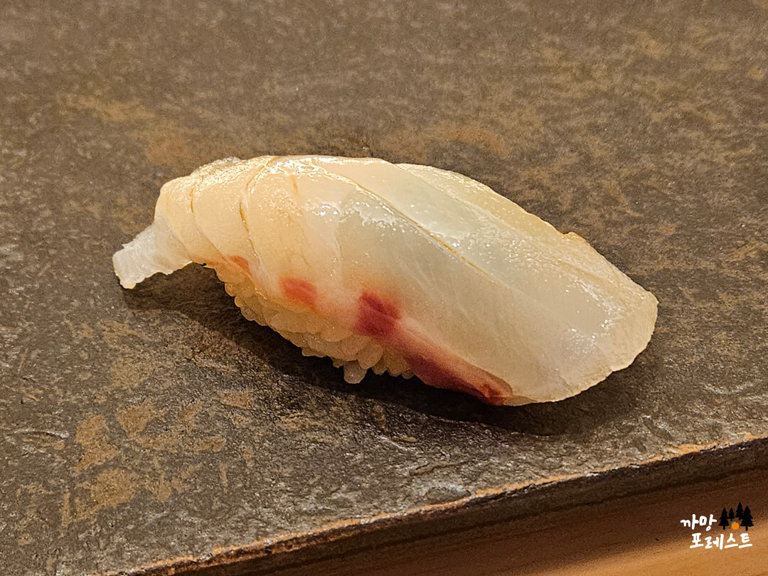 스시코우지 참돔