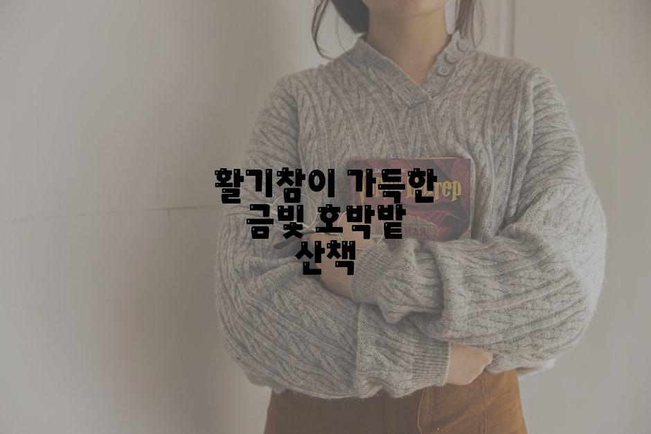 활기참이 가득한 금빛 호박밭 산책