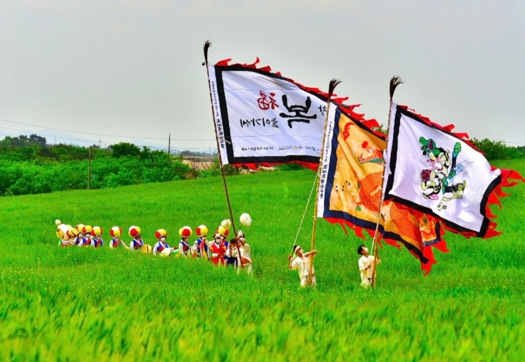 고창-청보리밭-축제-사진