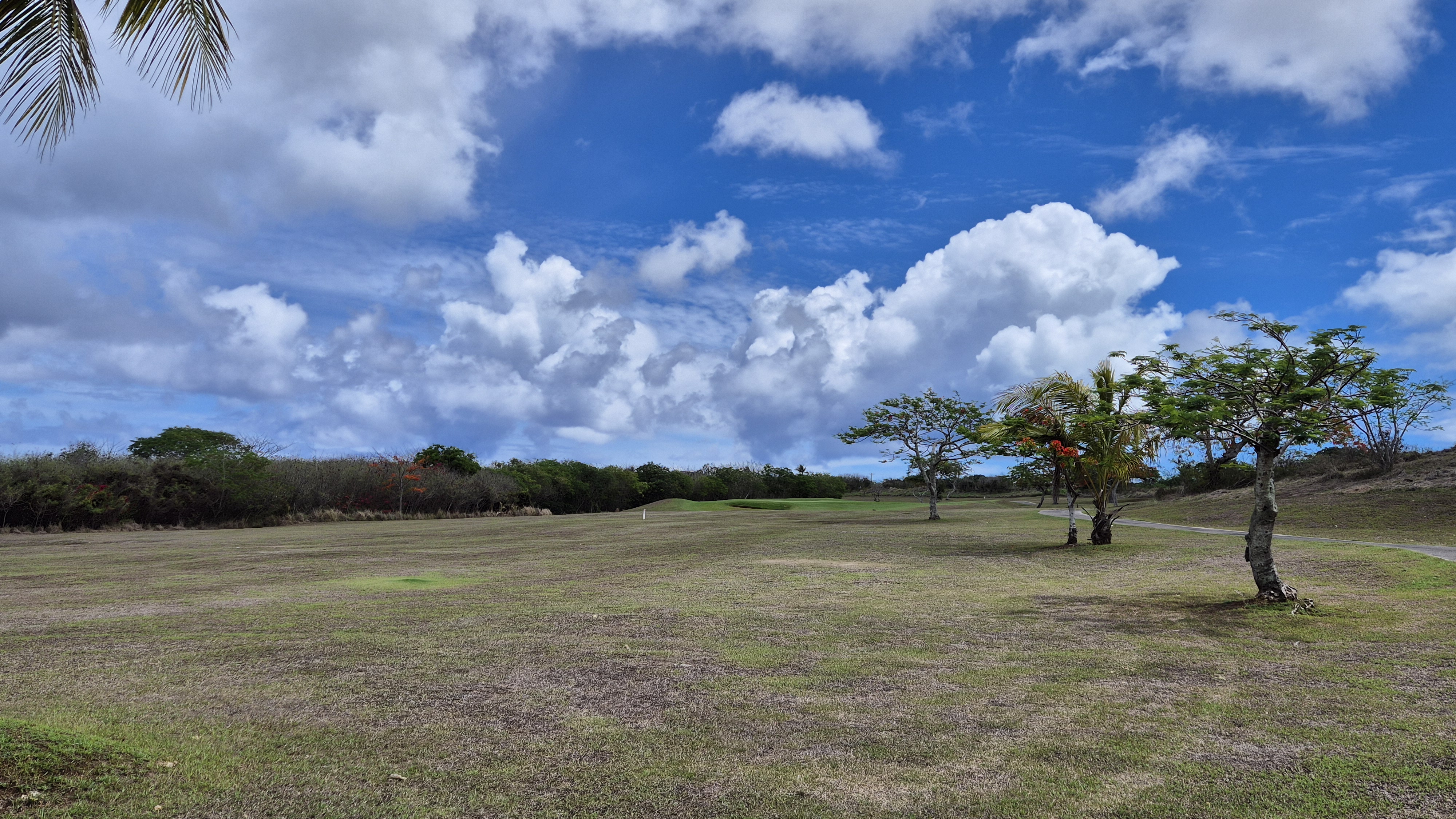 사이판 코랄오션cc