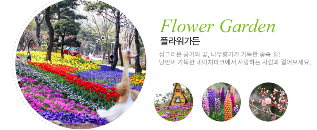 전국 벚꽃 봄꽃 축제 추천 Best 5