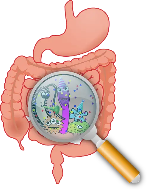 대상포진 영양제 추천 ! 대상포진 예방에 좋은 영양제 추천 7가지