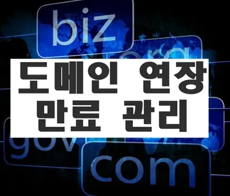 도메인 연장과 만료 관리, 놓치면 생기는 문제들