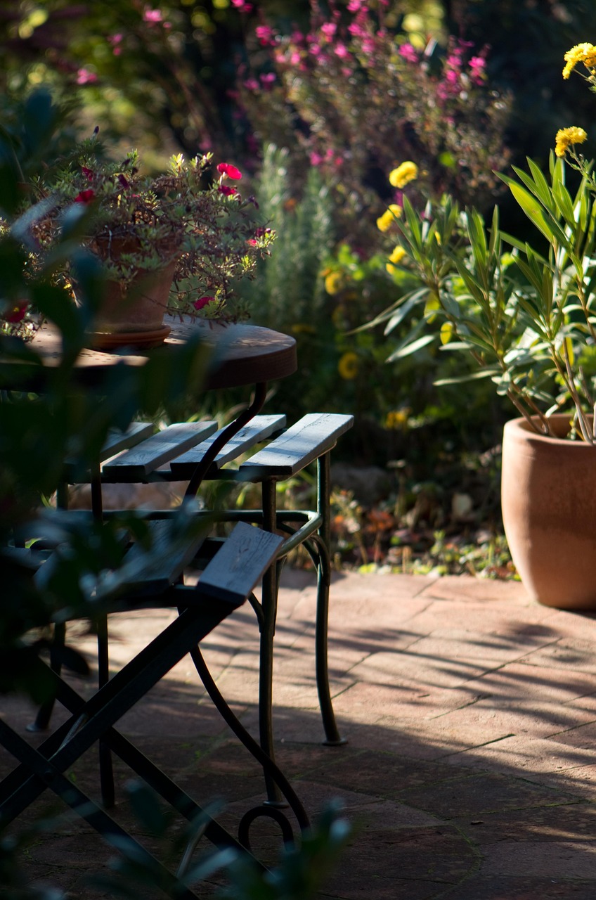 산속 정원 분위기 관련 사진