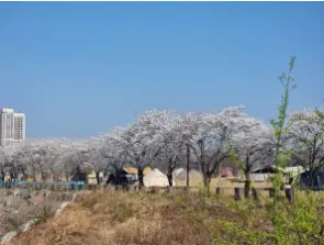 금은모래 캠핑장 예약 가격