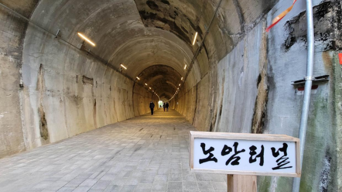 강릉 월화거리공원