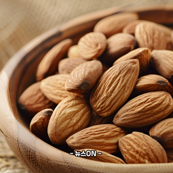 마그네슘이 풍부한 음식