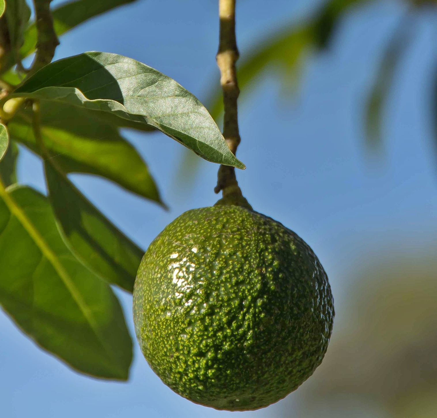 어깨가 아픈데 오십견은 아니라는 말의 의미!