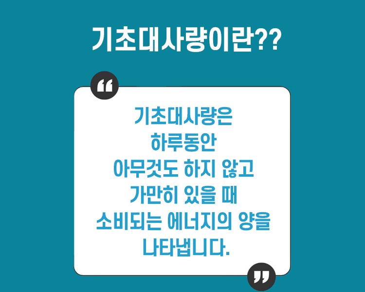 기초대사량이란 무엇인가