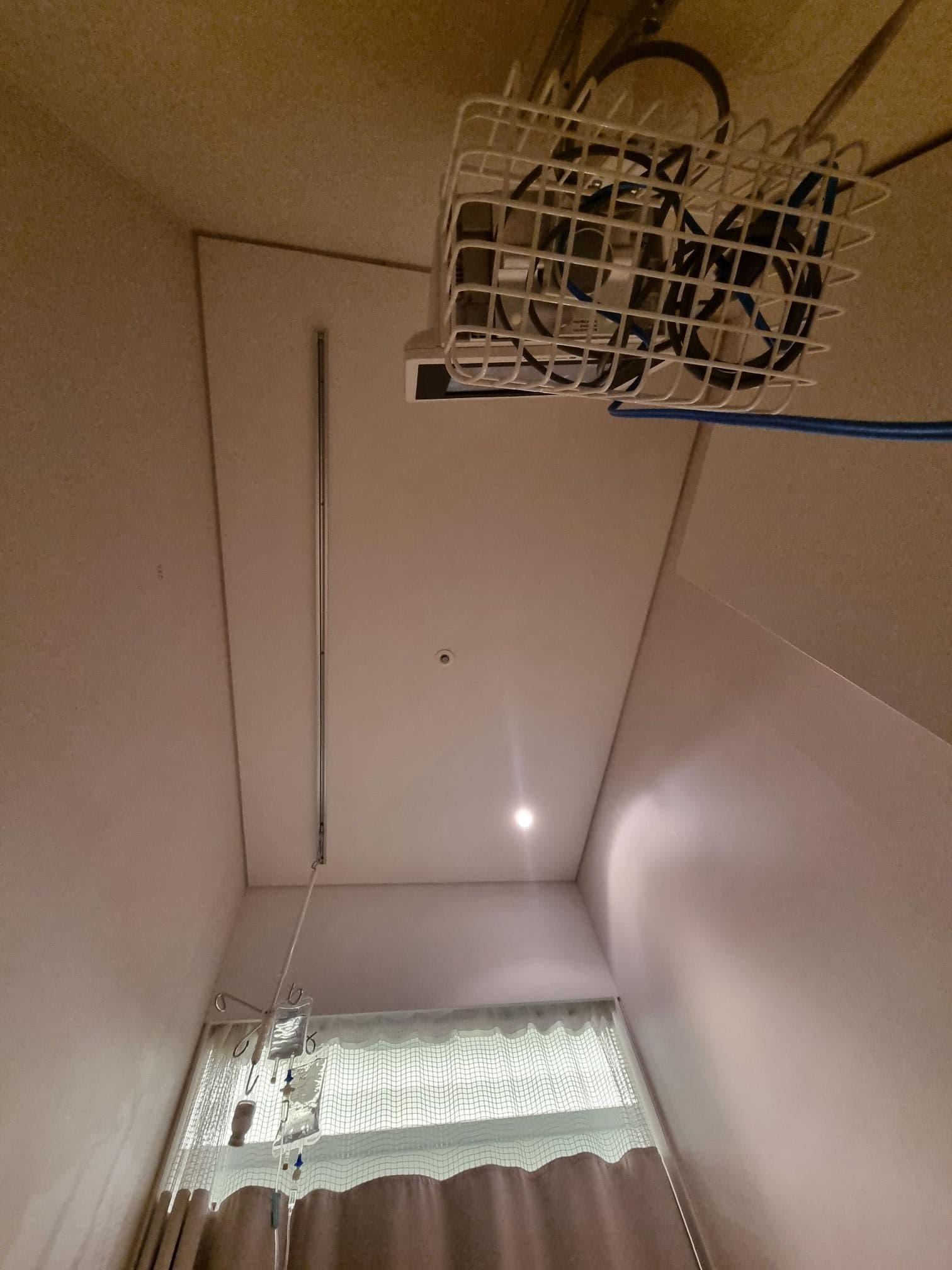 평촌마리아 채취