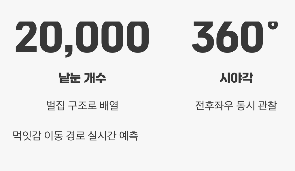 세상을 꿰뚫어 보는 슈퍼 컴퓨터 눈