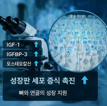 hsy2-효능-한삼덩굴-추출물-영양제-선택방법
