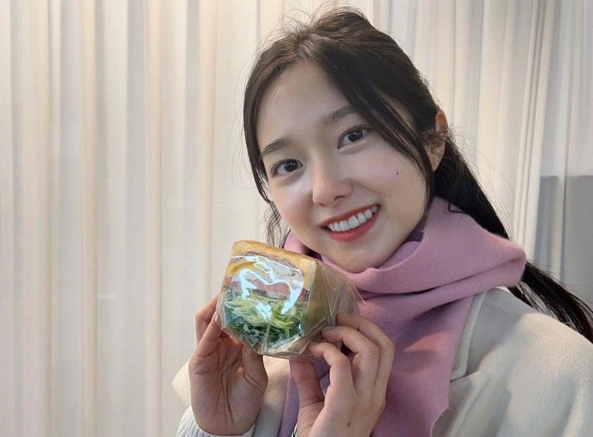 이혜성 아나운서 프로필 나이 학력 결혼 인스타그램 및 열애설 정리