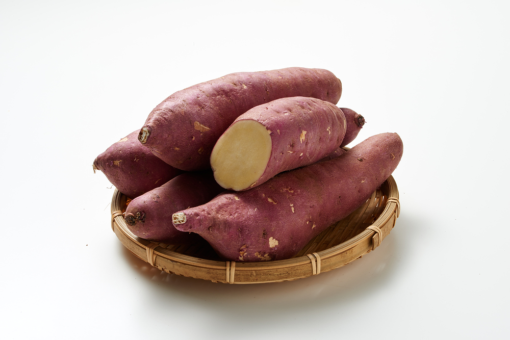 고구마-심는-시기