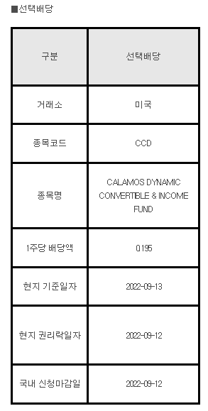 미국주식 선택배당 안내 CCD