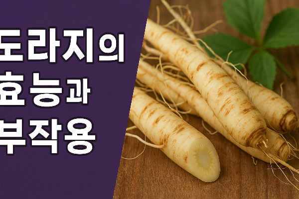 도라지의 효능과 부작용