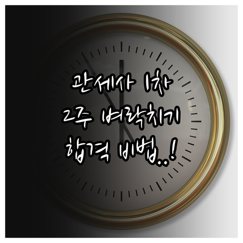 관세사 1차 2주 벼락치기 플랜과 과..