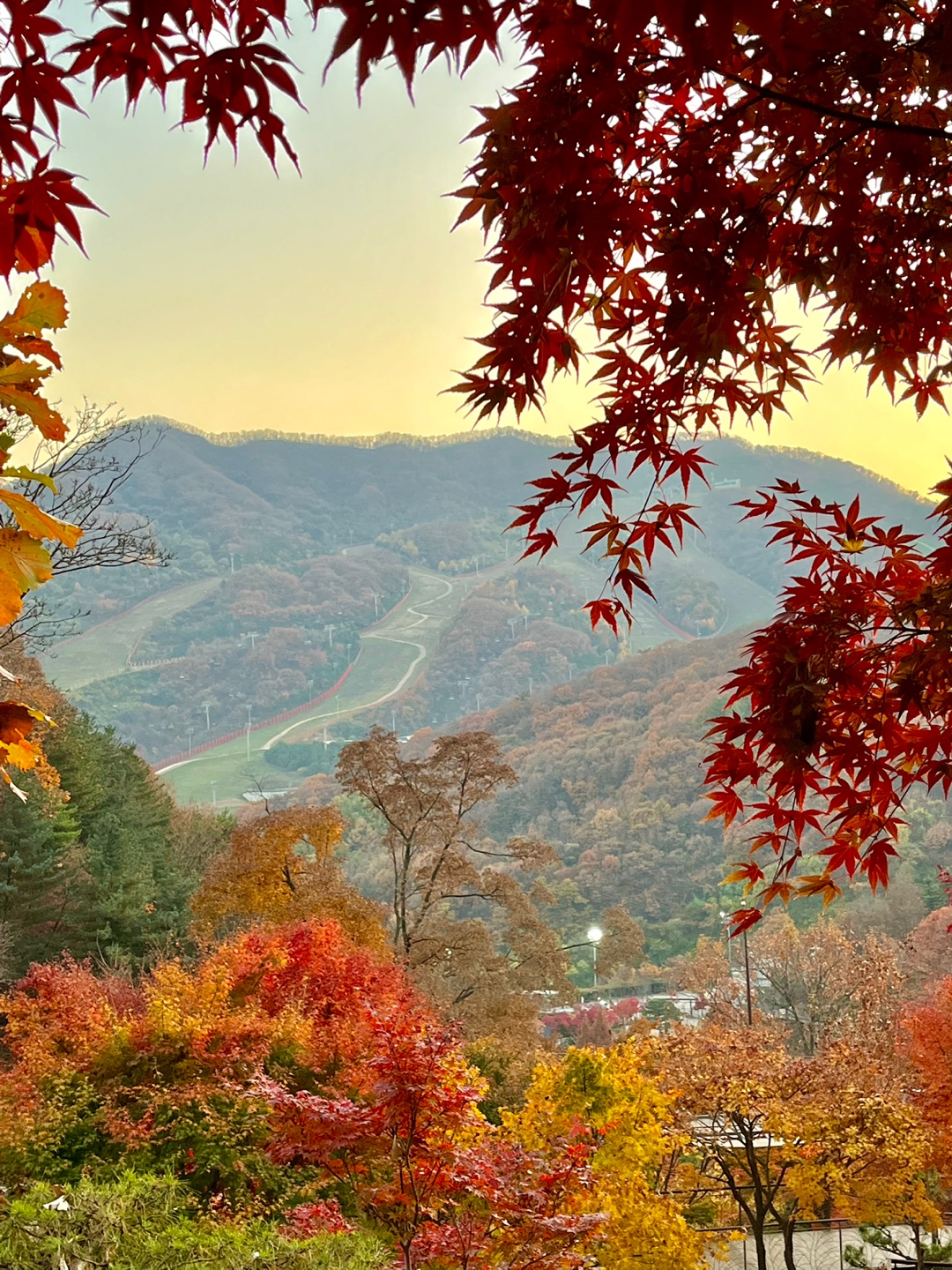 화담숲 진짜 후기