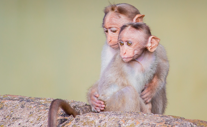 띠별 운세 10월 26일