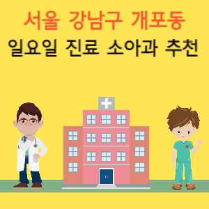 서울 강남구 개포동 일요일 진료 소아과 추천