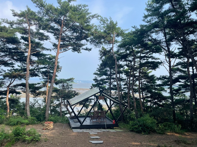 쉘터