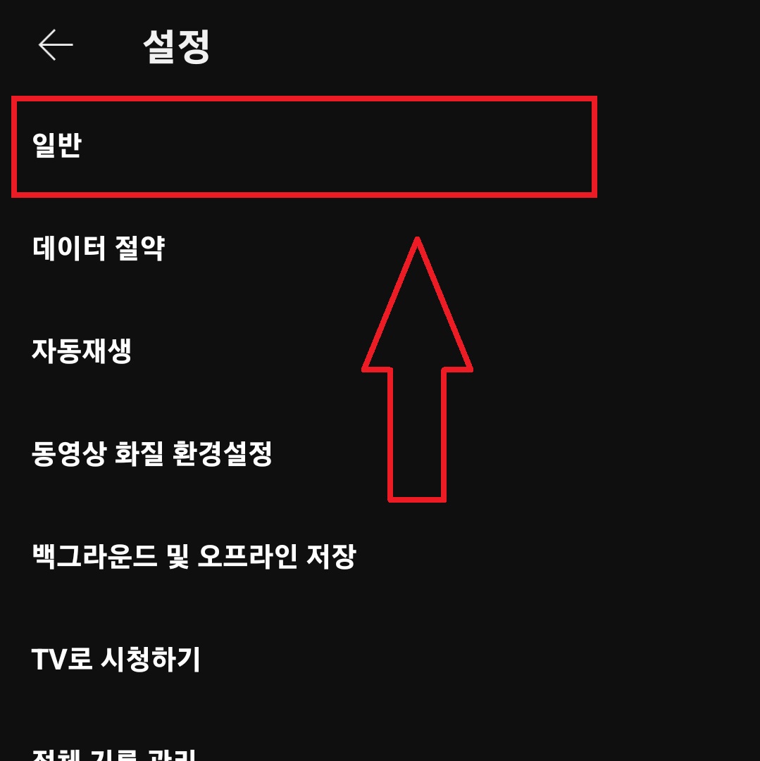 유튜브 앱 설정에서 두 번 탭 해서 건너뛰기 시간을 조절하는 방법 5