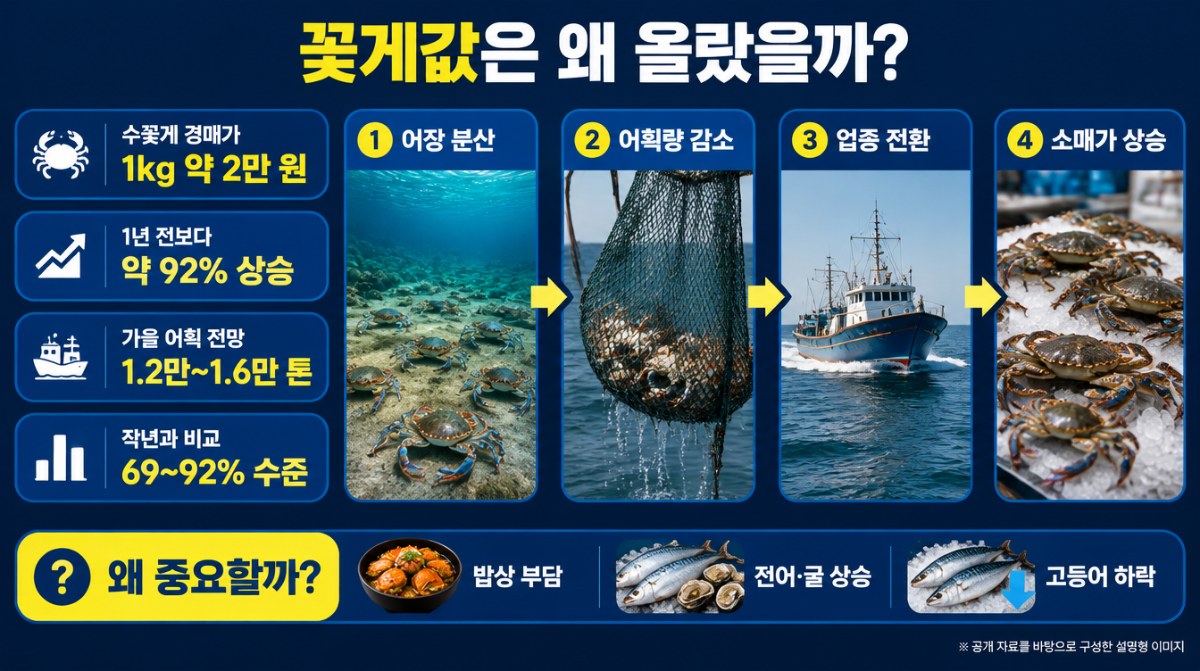 꽃게값 상승 원인과 시세를 정리한 설명형 인포그래픽 (AI 생성 이미지)