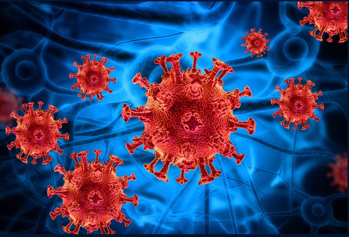 니파 바이러스 증상