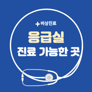응급실 진료 가능한 곳 찾기