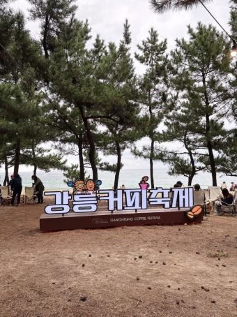 강릉 안목 커피거리 겨울축제 사진