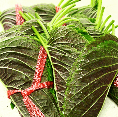 깻잎찜 만드는 법 및 깻잎 요리 알아보기