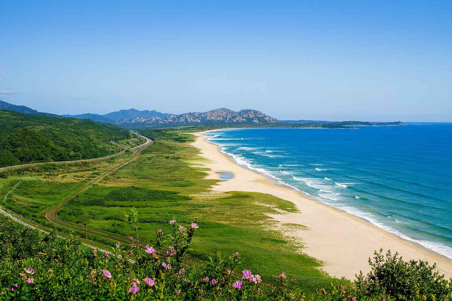 전쟁 기념관과 DMZ 평화의 길 전쟁의 기억에서 평화의 길로