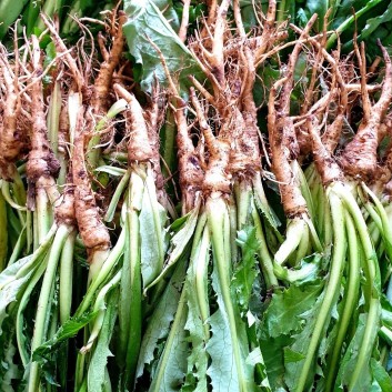 6시 내고향 여수 돌게장 꽃게장 갓김치 맛집 어부밥상 위치 메뉴 가격 택배 주문방법9