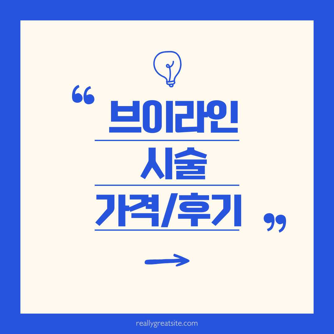 브이라인 시술 가격과 후기