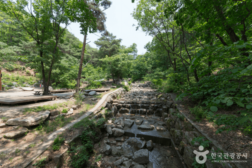 국립 용화산자연휴양림
