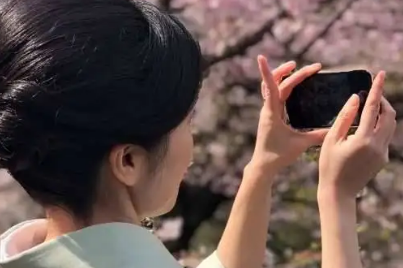 도쿄 벚꽃 개화시기