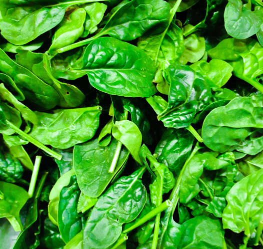 눈에 좋은 음식 10가지