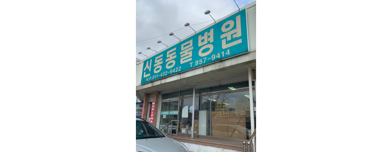 공주시 동물병원