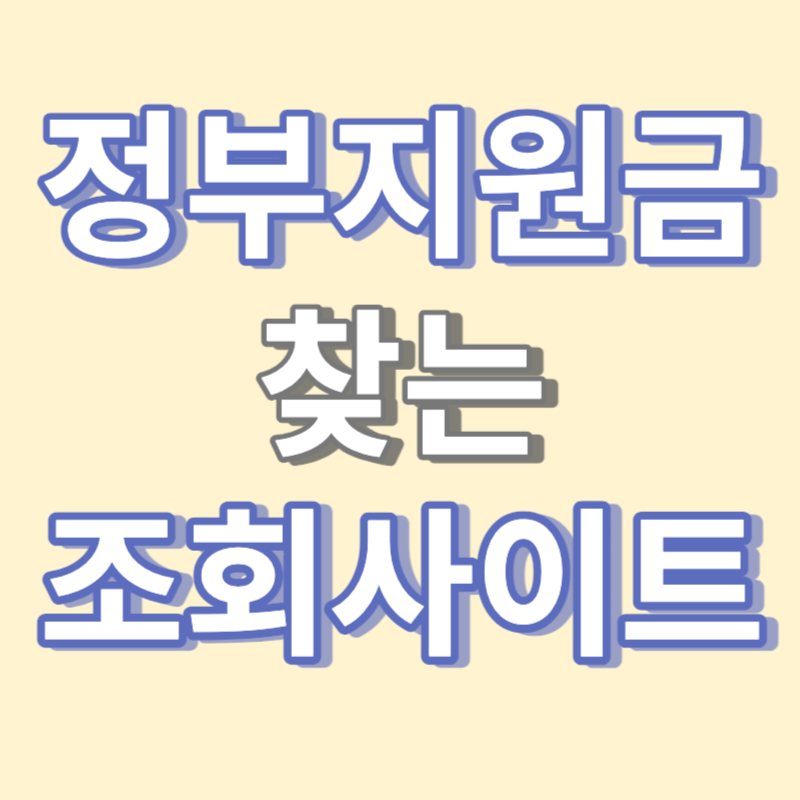 정부지원금