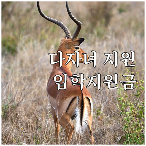 충주시 다자녀 가정 입학지원금 202..